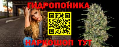 трава Лесосибирск