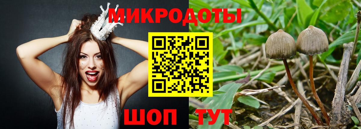 Галлюциногенные грибы Psilocybine cubensis  Вход с VPN  Вольск  Галлюциногенные грибы ЛСД 