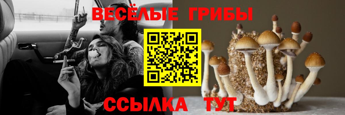 Псилоцибиновые грибы ЛСД Вольск